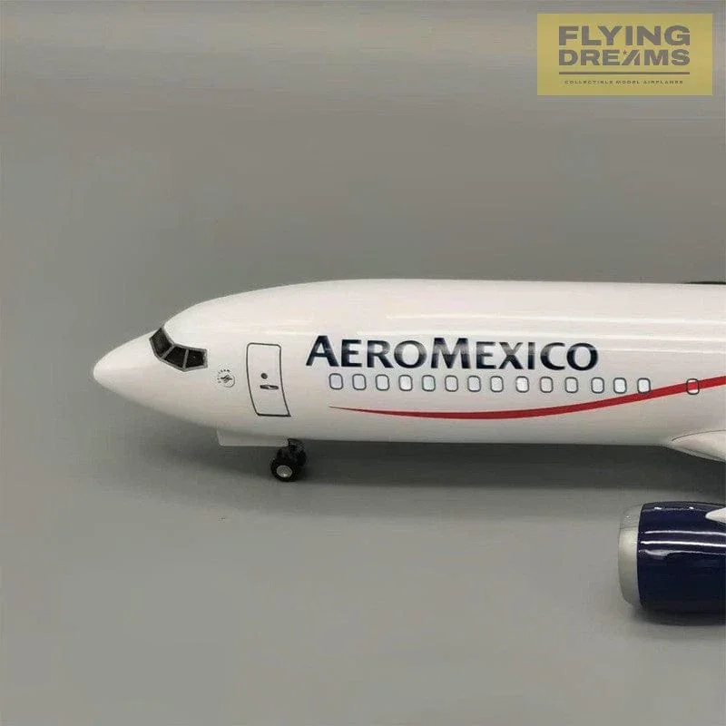 Boeing 737 MAX Aeroméxico – Scale 1:80 (47 cm / 18.5 in) - Image 14